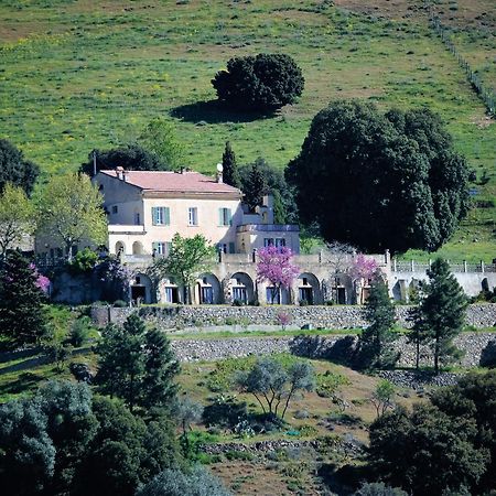 La Ventulella Bed & Breakfast Moltifao Dış mekan fotoğraf