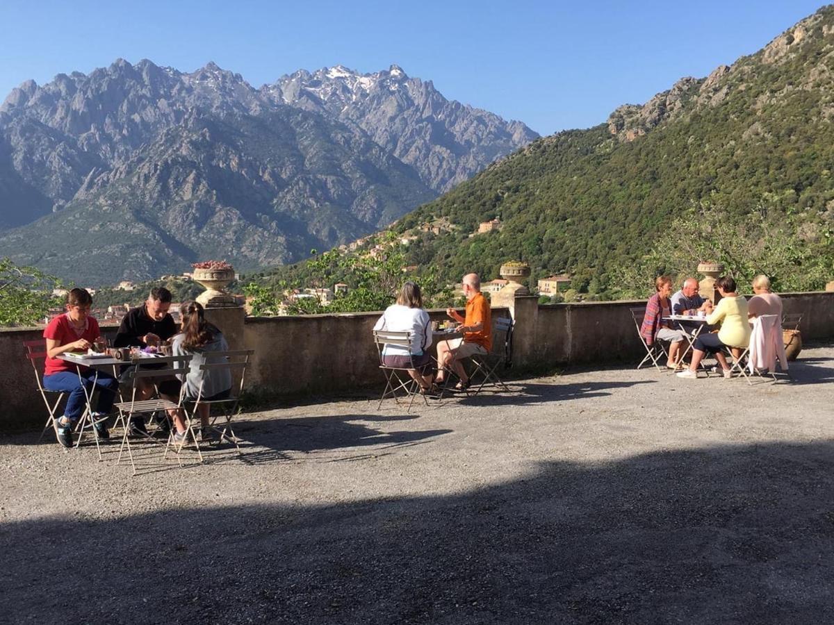 La Ventulella Bed & Breakfast Moltifao Dış mekan fotoğraf