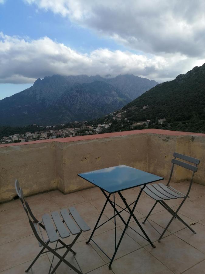 La Ventulella Bed & Breakfast Moltifao Dış mekan fotoğraf