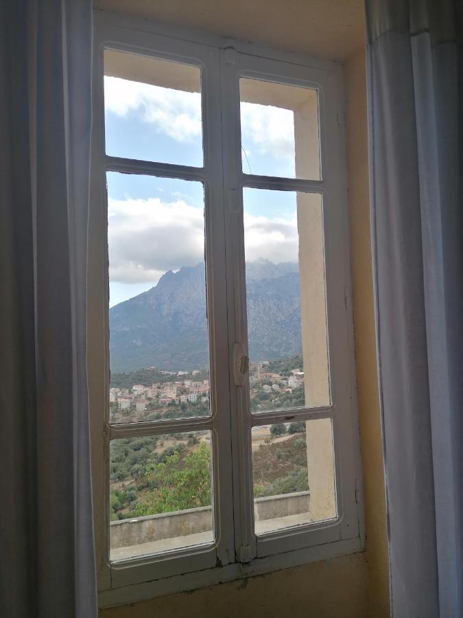 La Ventulella Bed & Breakfast Moltifao Dış mekan fotoğraf
