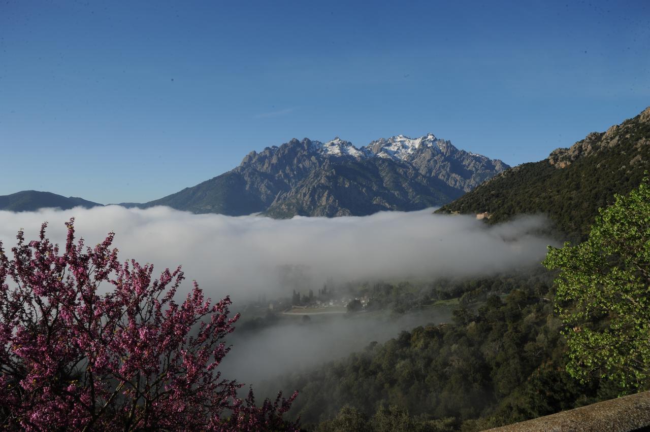 La Ventulella Bed & Breakfast Moltifao Dış mekan fotoğraf