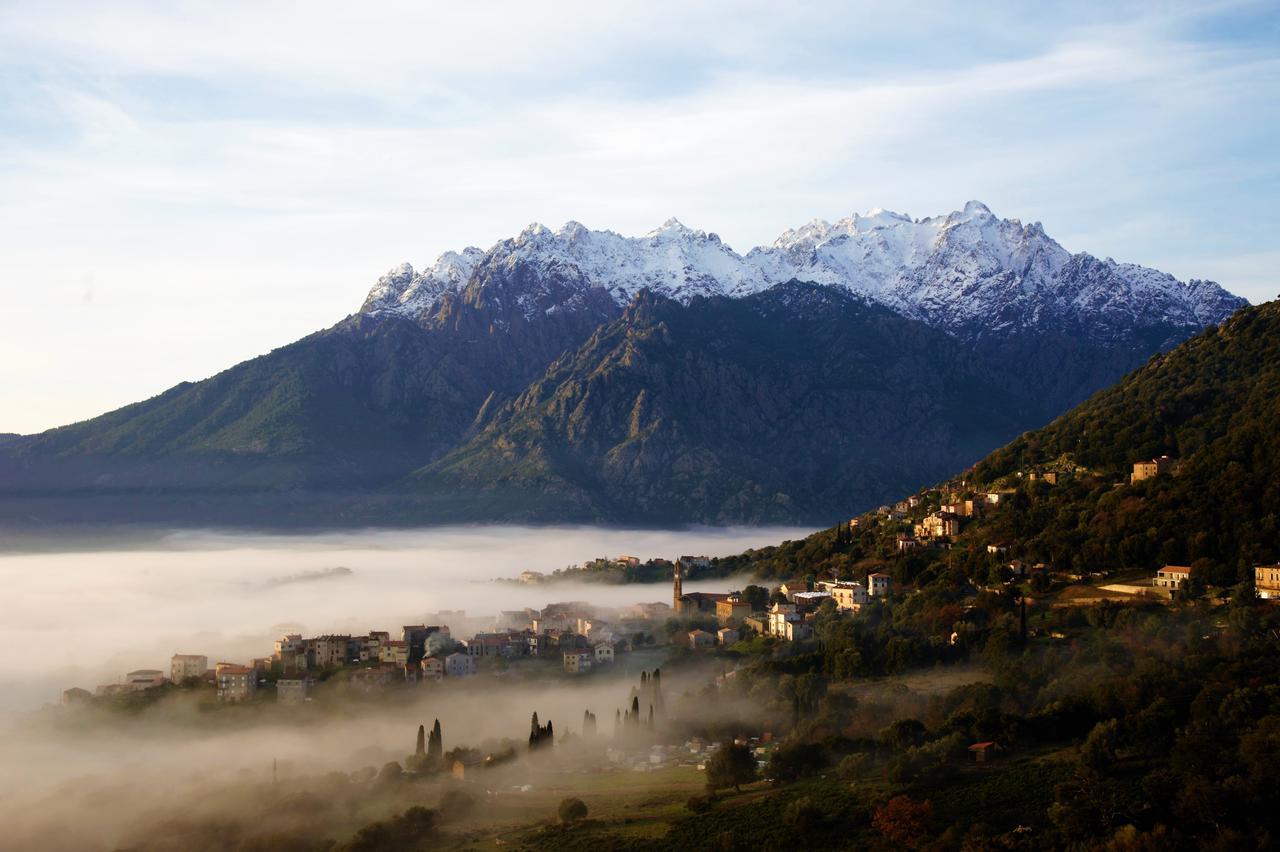 La Ventulella Bed & Breakfast Moltifao Dış mekan fotoğraf