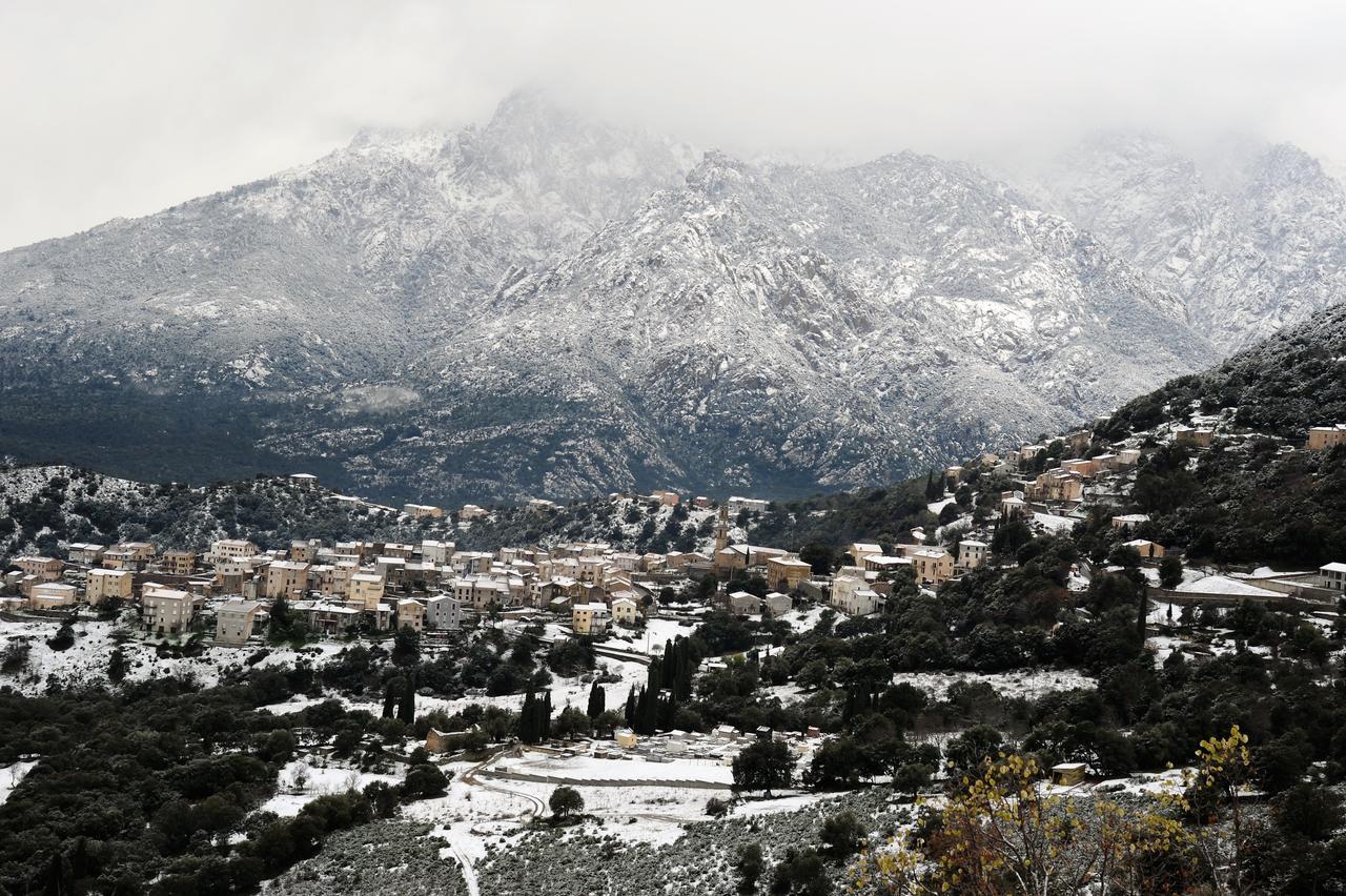La Ventulella Bed & Breakfast Moltifao Dış mekan fotoğraf