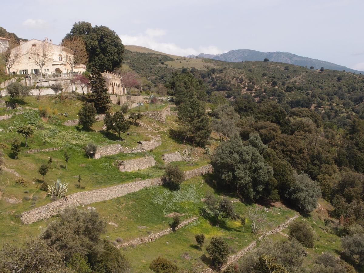 La Ventulella Bed & Breakfast Moltifao Dış mekan fotoğraf