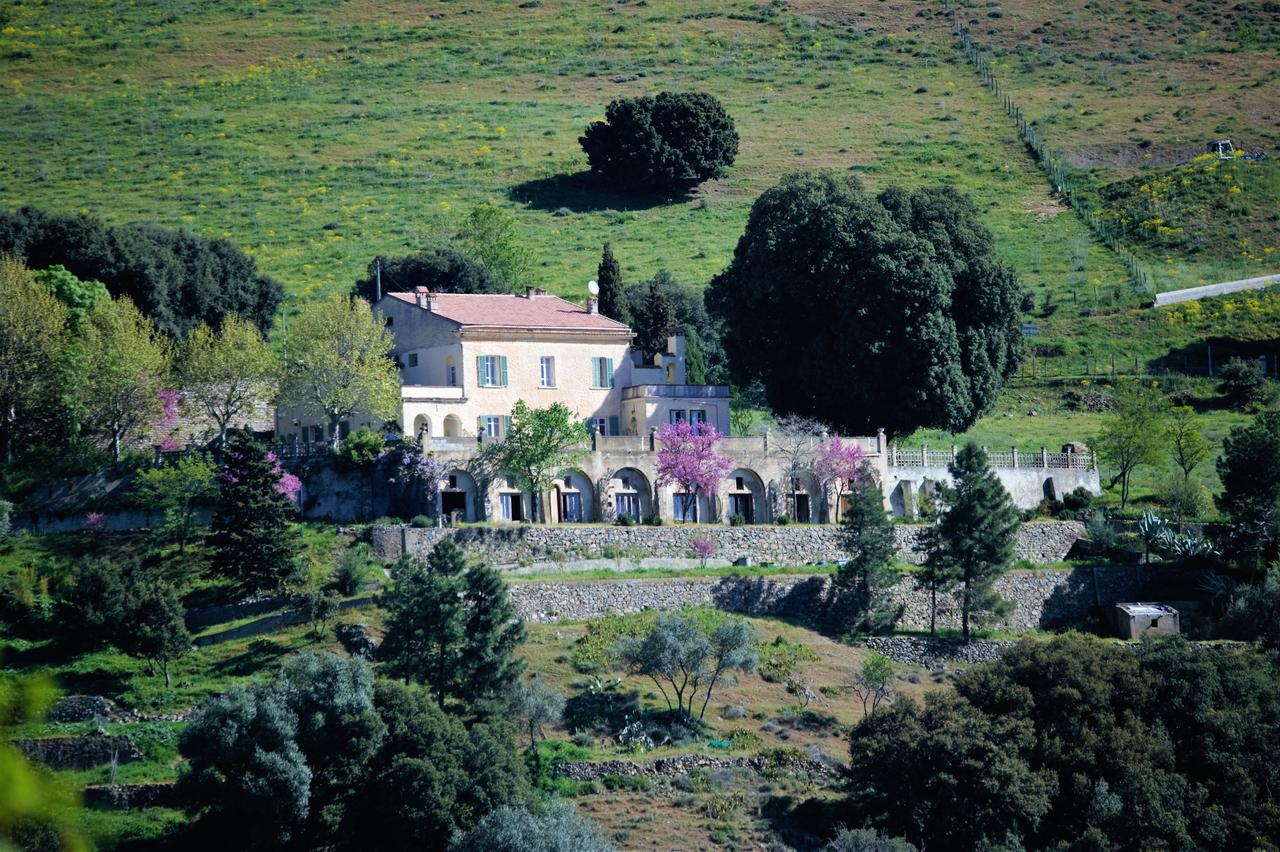 La Ventulella Bed & Breakfast Moltifao Dış mekan fotoğraf